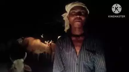 खनियाधाना: ग्राम पंचायत सुनानल चौराहे पर बैठे सैकड़ों जानवर, वाहन चालक और किसान परेशान
