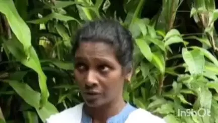 തിരുവനന്തപുരം: പേരൂർക്കടയിലെ വ്യാജ മോഷണ കേസ്: ദളിത് യുവതി ബിന്ദുവിന്റെ പരാതിയില്‍ കേസെടുത്തു