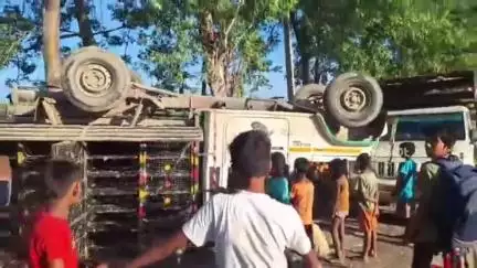 घोड़ासहन: ढाका झरौखर रोड पर अनियंत्रित होकर मुर्गी लदी पिकअप पलटी