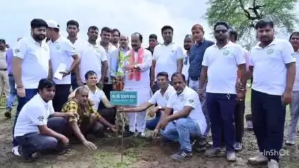 मुंगेली: मुंगेली जिले में 50,000 आवास हितग्राहियों के आंगन में लगाए गए एक लाख से अधिक पौधे, बना नया रिकॉर्ड