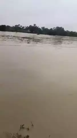 pani hi pani hai chal raha hai chatisgad me   rat bhar me pani hi pani
