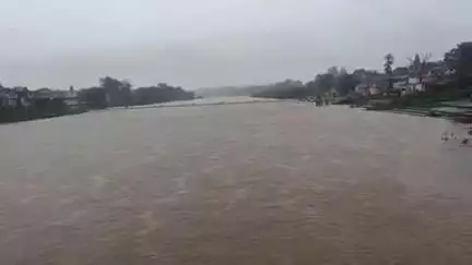डिंडौरी: डिंडौरी के पहाड़ी और मैदानी इलाकों में बारिश जारी, नर्मदा का जलस्तर बढ़ने से अलर्ट जारी