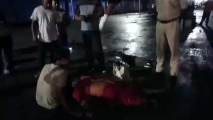 जामताड़ा: चितरंजन रेलवे स्टेशन पर ट्रेन की चपेट में आने से एक महिला जख्मी, कस्तूरबा गांधी हॉस्पिटल में भर्ती