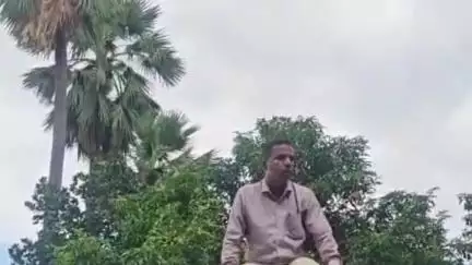 सिवान: सिवान के तरवारा स्कूल में बवाल: शिक्षक ने दी धमकी, छत पर चढ़कर किया हंगामा, वीडियो वायरल