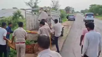बुहाना: पचेरीकलां में सड़क किनारे युवक का शव मिलने से फैली सनसनी, हत्या कर शव फेंकने की आशंका