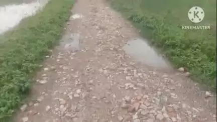 मेजा: #jansamasyaअमिलिया कलां के जैसल बस्ती के लोग एक अरसे से सड़क जीर्णोद्धार की आस में बैठे,शिकायत के बाद मिलता है आश्वासन