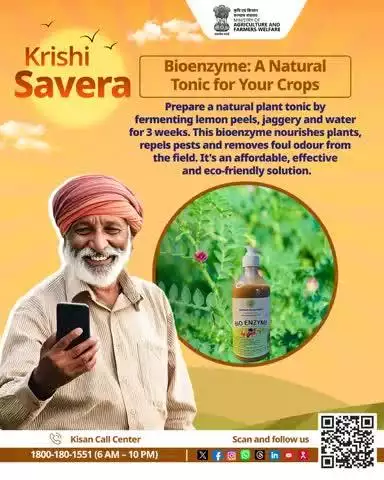 Start your day with #KrishiSavera! Daily farming tips for success—share & comment your own tips too!

 #AgriGoI