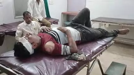 ग्राम जरमोहरा के समीप आवारा पशु से टकराई तेज़ रफ़्तार बाइक, पति-पत्नी हुए घायल