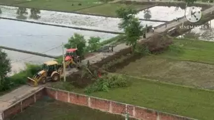 एकंगरसराय: दुलारी बीघा रोड पर पेड़ों की कटाई से लोगों में आक्रोश, नए पौधे लगाने की मांग तेज़