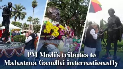 प्रधानमंत्री नरेंद्र मोदी  ने अर्जेंटीना की राजधानी ब्यूनस आयर्स में महात्मा गांधी को श्रद्धा-सुमन अर्पित किए।