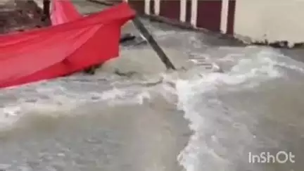 कोरबा: कोरबा में मानसून का तांडव, आफत की बारिश से जनजीवन बुरी तरह प्रभावित, रविशंकर नगर में गाय का बछड़ा बहते-बहते बचा