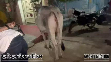 expired medicine खाने से हुई तबीयत खराब 

Respect Girls help poor help animals 

#apsgurjar #help #viral #support #gwalior