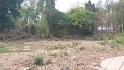 डुमरांव: पुतला फूंकने के बाद निगरानी विभाग के सचिव ने कार्रवाई का निर्देश दिया