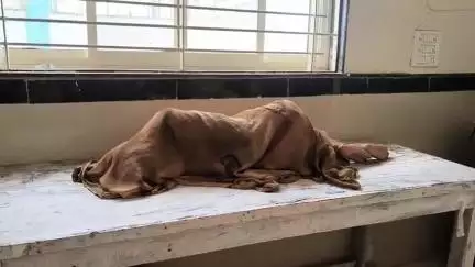 जौरा: जौरा के सांकरा गांव में एक ही परिवार के लोगों की तबीयत बिगड़ी, सभी अस्पताल रेफर
