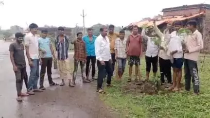 कुशलगढ़: कुशलगढ़ में श्यामा प्रसाद मुखर्जी की जन्म जयंती पर वृक्षारोपण किया गया, लोगों में उत्साह का माहौल