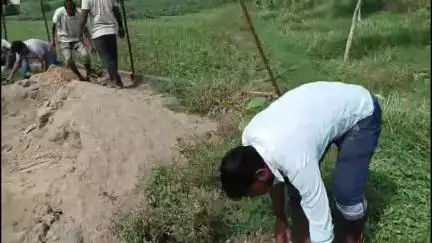 राजातालाब: वाराणसी के सजोई गांव में श्यामा प्रसाद मुखर्जी की जयंती पर युवाओं ने किया बृहद पौधारोपण
