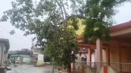 जांजगीर: जिले में हो रही झमाझम बारिश से जनजीवन अस्त-व्यस्त, कई जगह आंधी-तूफान से टूटे पेड़-पौधे