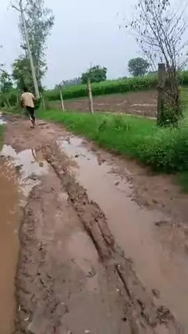 #गांव ददियाना की ये वीडियो वह जो सड़को के ऊपर है?