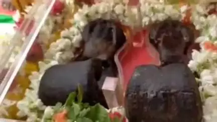 మార్కాపురం: నెహ్రూ బజారు షిరిడి సాయిబాబా మందిరం ఆధ్వర్యంలో పురవీధులలో శిరిడి సాయిబాబా పాదుకలు ఊరేగింపు