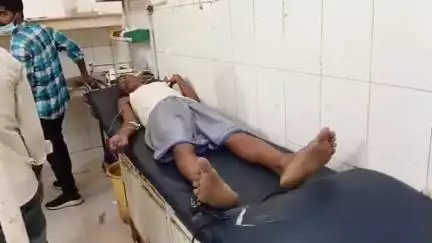 सीतापुर: झज्जर मोहल्ले में खेत में काम कर रहे व्यक्ति को जहरीले सांप ने काटा, हालत बिगड़ने पर अस्पताल में कराया गया भर्ती