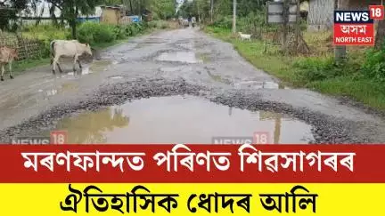 Sivasagar News| মৰণফান্দত পৰিণত শিৱসাগৰৰ ঐতিহাসিক ধোদৰ আলি| N18V