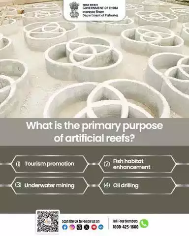 QUIZ TIME! 
What is the primary purpose of artificial reefs?