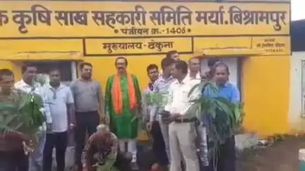 सिमगा: अंतरराष्ट्रीय सहकारिता वर्ष के अवसर पर विश्रामपुर में किया गया सघन वृक्षारोपण