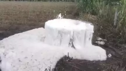 हातकणंगले: फेसाळलेलं प्रदूषित पाणी थेट चेंबरमधून पंचगंगा नदीत मिसळत राजर्षी शाहू आघाडी सदस्य विश्वास बालीघाटे यांचा आरोप