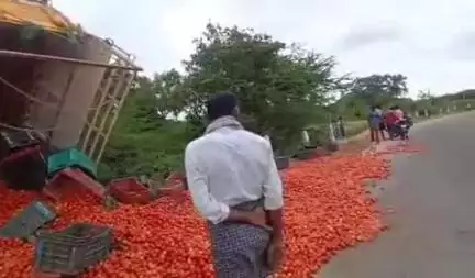కళ్యాణదుర్గం: మంగంపల్లి గ్రామ సమీపంలో అదుపుతప్పి బోల్తాపడ్డ బొలెరో వాహనం: నేలపాలైన టమాటా