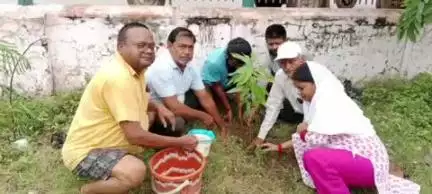 बांसी: माधव बाबू पार्क में भाजपा नगर मंडल ने किया सघन पौधरोपण, कई प्रजातियों के पौधे लगाए गए