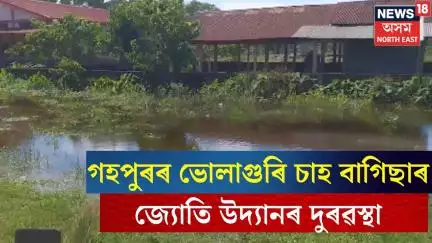 Gohpur News| গহপুৰৰ ভোলাগুৰি চাহ বাগিছাৰ জ্যোতি উদ্যানৰ দুৰৱস্থা| N18V
