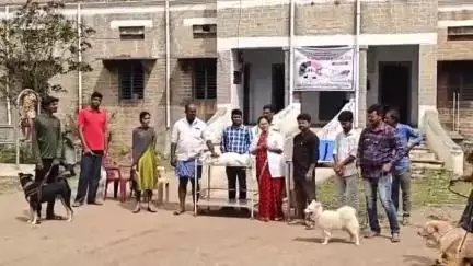 బేతంచెర్ల లో ప్రపంచ జూనోసిస్ సందర్భంగా పెంపుడు కుక్కలకు టీకాలు