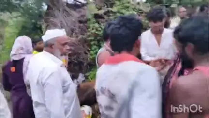जालना: वडिवाडी येथे गोठ्याला आग लागून एका बैलाचा मृत्यू