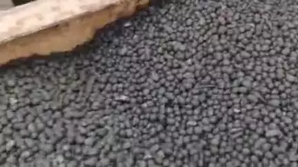 हिसार: धीकताना में एनपीके खाद में मिलावट, किसान को मिले रबड़ के दाने, बोले- खुलेआम नकली खाद की बिक्री!