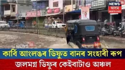 Diphu Flood| কাৰ্বি আংলঙৰ ডিফুত বানৰ সংহাৰী ৰূপ| N18V