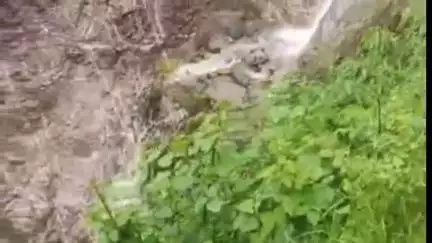 पधर: चौहारघाटी के कोरतँग में बादल फटने से लोगों की नगदी फसल और खेत बर्बाद हुए