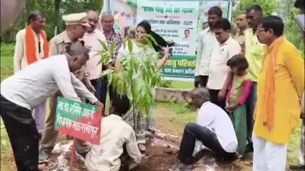 मऊरानीपुर: रोरा गांव में वन महोत्सव पर स्थानीय विधायक डॉक्टर रश्मि आर्य ने किया वृक्षारोपण