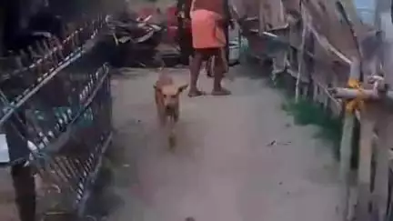 अरियरी: बेलहारी गांव में रास्ते को लेकर दो पक्षों में मारपीट, सीपीआई सदस्य महिला घायल
