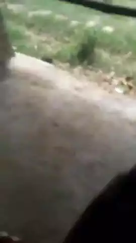 सगड़ी: रौनापार थाना क्षेत्र में 2 पक्षों के बीच हो रही मारपीट का वीडियो सोशल मीडिया पर हुआ वायरल, मामले की जांच में जुटी पुलिस