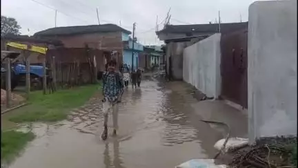 बरही: ग्राम केरेला के वार्ड नंबर-4 की बस्ती हुई जलमग्न, परेशान ग्रामीणों ने कहा- शिकायत के बावजूद नहीं हो रही कार्रवाई