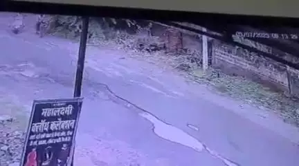 झांसी: पिछोर में स्कूटी सवार व्यक्ति ने कुत्ते को रस्सी से बांधकर घसीटा, कुत्ते की हुई मौत, वीडियो हुआ वायरल