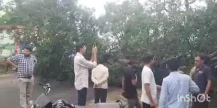 केवलारी: थाना उगली के पीछे अतिवृष्टि से गिरा वयोवृद्ध आम का पेड़, आस-पास के लोग बाल-बाल बचे