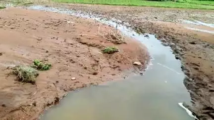नरवर: पौहा गांव मैं अत्यधिक बारिश होने से किसान के खेत की फसल पानी में वही हुआ काफी नुकसान #jansamasya