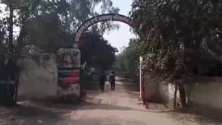 वन विभाग की अनूठी पहल, 1 से 7 जुलाई के बीच जन्मे बच्चों को मिलेगा ग्रीन गोल्ड सर्टिफिकेट और इमारती पौधा