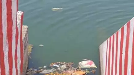 சிவகங்கை: தெப்பக்குளம் கழிவுநீர் கால்வாய் ஆக மாறும் அவலம் ? - விரைந்து நடவடிக்கை எடுக்க ஆட்சியரிடம் மனு