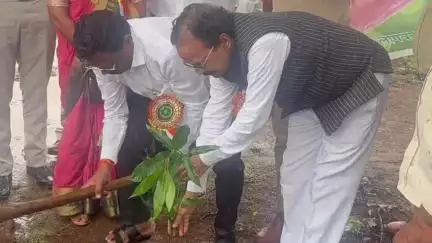 अर्जुनी मोरगाव: एक पेड मां के नाम उपक्रमांतर्गत गुढरी येथे करण्यात आले वृक्षारोपण