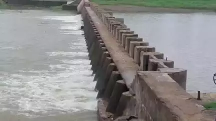 मंदसौर: लगातार बढ़ रहा है शिवना नदी का जलस्तर, कालाभाटा बांध का गेट अभी भी 2 से 4 इंच खुला हुआ है