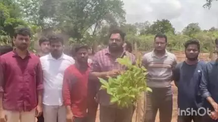 రాజేంద్రనగర్: రాబోయే తరాలకు వృక్ష సంపద ఉన్నాయని చెప్పే ప్రయత్నాన్ని స్వాగతించిన రాజేంద్ర నగర్ అగ్రికల్చరల్ యూనివర్సిటి విద్యార్థులు