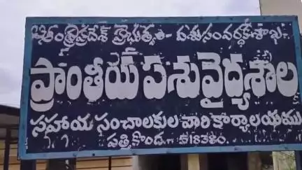 పత్తికొండ: పట్టణంలో పశు వైద్యశాలలో రాబిస్ డే సందర్భంగా కుక్కలకు టీకాలు వేసిన పశువైద్యాధికారి