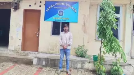 ગોધરા: શહેરની LCB પોલીસે પ્રોહી બુટલેગર્સ પ્રકાશભાઈ ઉર્ફે ભચલુ ગણપત પટેલને પાસા ધારા હેઠળ અટકાયત કરી મધ્યસ્થ જેલ ભરૂચ ખાતે મોકલ્યો